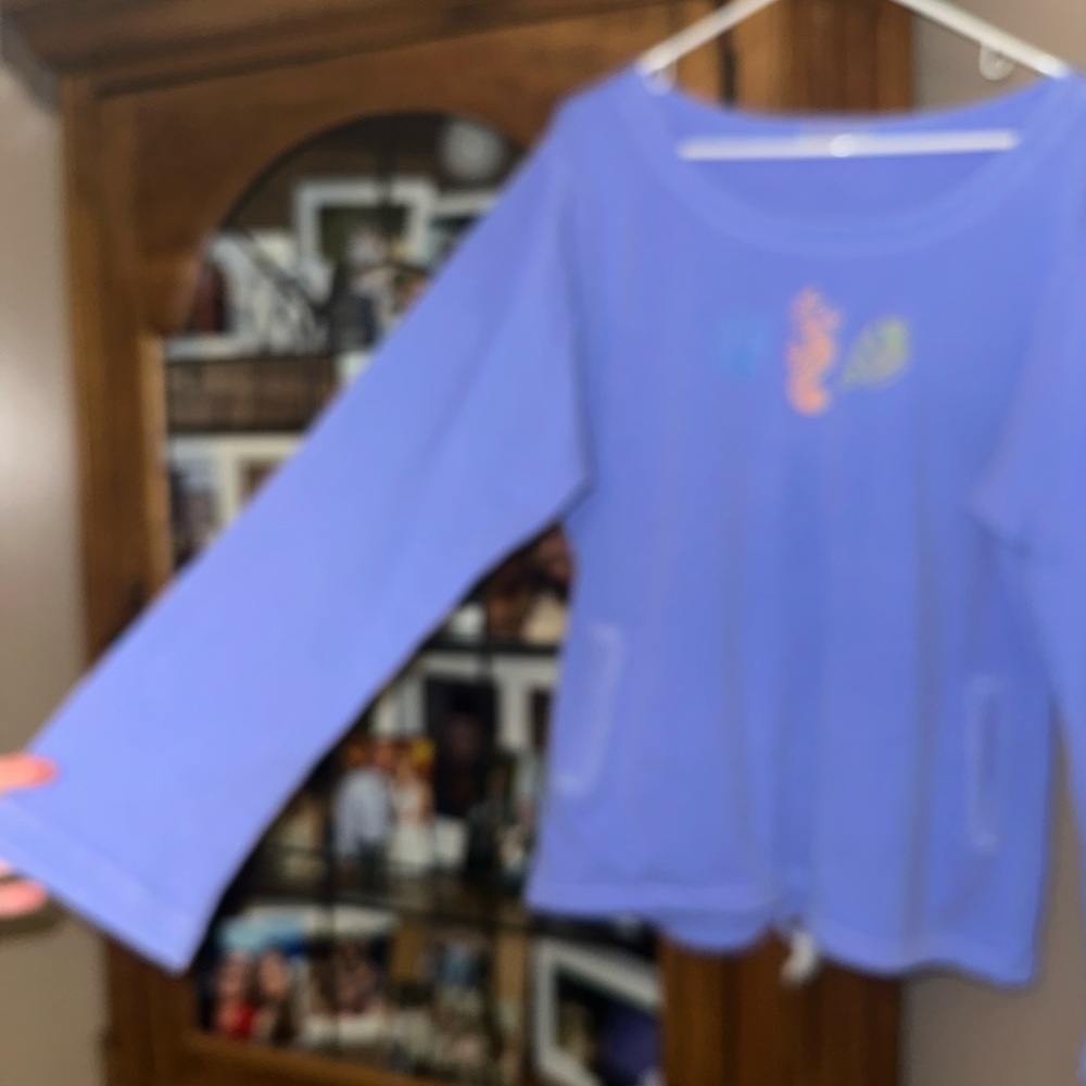 XL/XXL Stretchy Fresh Produce Blue Distressed Sweatshirt. Runs small ! - Picture 5 of 15